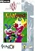 Toonstruck