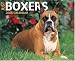 Book Just Boxers 2006 16-Month Wall Calendar