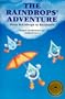 The Raindrops' Adventure