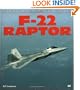 F-22 Raptor (Enthusiast Color Series)