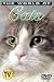 The World of Cats: Understanding Your Cat