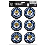 Florida Panthers Official Logo 6 Magnet Set