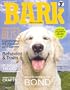 The Bark