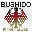 Fackeln im Wind