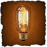 Antique Light Bulb Co.134014 120 Volt
