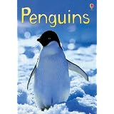 Penguins (Usborne Beginners)