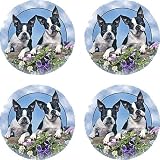 Set of Four Boston Terrier Ambiance Coasters - Style vpa17 by Thirstystone
