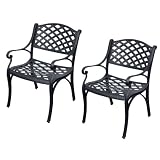 Walker Edison Cast Aluminum Dining Chairs, Set of 2, Black