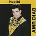 Amr-Diab-Habibi cd cover