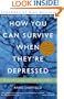 How You Can Survive When They're Depressed: Living and Coping with Depression Fallout