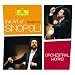 Art of Giuseppe Sinopoli,the