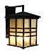 Trans Globe 4637 WB Craftsman - Three Light Outdoor Wall Bracket, Weathered Bronze Finish with Seeded Glass