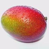 Brasil Flug Mangos 6St?ck