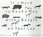 It's Hard to Read a Map with a Beagle on Your Lap (An Owlet Book)