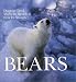 Book Bears