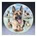 The Bradford Exchange Linda Picken Loving, Noble And True German Shepherd Collector Plate