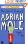 Secret Diary of Adrian Mole Aged 13 3/4