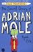 The Secret Diary of Adrian Mole Aged 13 3/4