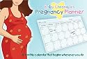 Baby Chronicles Pregnancy Planner: A Monthly Calendar that Begins Whenever You Do