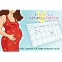 Baby Chronicles Pregnancy Planner: A Monthly Calendar that Begins Whenever You Do