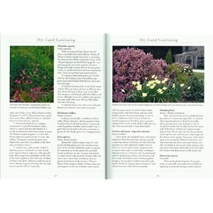 Dry-Land Gardening: A Xeriscaping Guide for Dry-Summer, Cold-Winter Climates