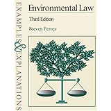 environmental law examples  explanations