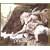 The Lord of the Rings: Part 2, The Two Towers (NPR Playhouse Dramatization)
