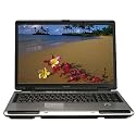 Toshiba Satellite P105-S6134 17" Widescreen Notebook PC (Intel Core 2 Duo Processor T5200, 2048 MB RAM, 200 GB Hard Drive, DVD SuperMulti Drive)