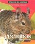 L'octodon