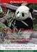 Panda Totally Panda