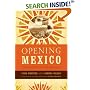Opening Mexico : The Making of a Democracy