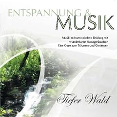 Entspannung & Musik:Tiefer Wal