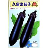 大長ナスの代表格!　久留米大長(一般種)数量:2ml