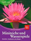 Miniteiche und Wasserspiele: Gestalten, bepflanzen und pflegen - Siegfried Stein