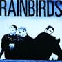 Rainbirds