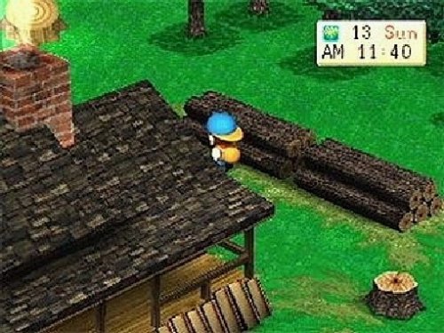 Harvest Moon: Back to Nature (Software Pyramide)