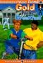 Gold Flakes for Breakfast (Misadventures of Willie Plummet) (Misadventures of Willie Plummett)
