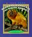 Books : Monkeys of Central and South America (True Books)