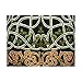 Celtic Yin Yang Tab Top Curtain-Door Panel-Amber/Green
