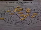 HOW COWRY DIVINATION WORKS (KABBALAH LESSON 12)