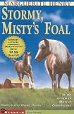 Stormy, Misty's Foal