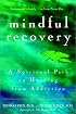 Mindful Recovery: A Spiritual Path to Healing from Addiction