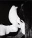 Helmut Newton: Frams from the Edge Image