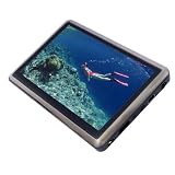 HALLODS ポータブルAVプレーヤー 4.3インチハイクリア液晶搭載 720Pハイビジョン動画再生可能 F43