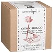 SerendipiTea Congo Bongo, Coconut, Mango & Organic Black Tea, 4-Ounce Boxes (Pack of 2)