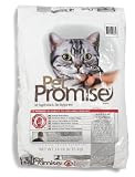 Pet Supplies : Pet Promise Cat-healthy Wght And Age/dry, 224-Ounce Unit