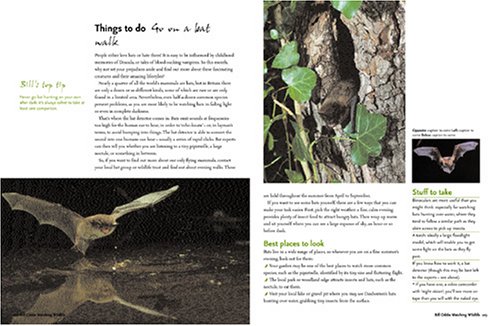 Bill Oddie's How to Watch Wildlife