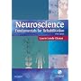 Neuroscience: Fundamentals for Rehabilitation