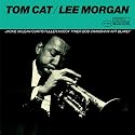 Tom Cat