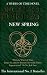 New Spring: A Wheel of Time Prequel